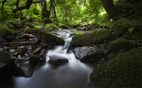 资源之家（风景壁纸） (146).jpg