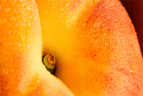 01402_fruit01_1920x1080.jpg