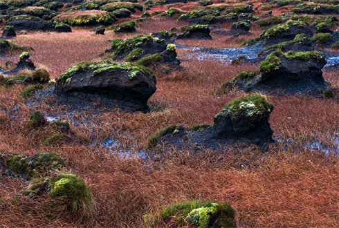 01496_bogfielddonegal_1920x1080.jpg