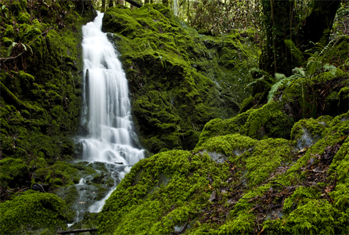 02182_campmeekerwaterfall_1920x1080.jpg