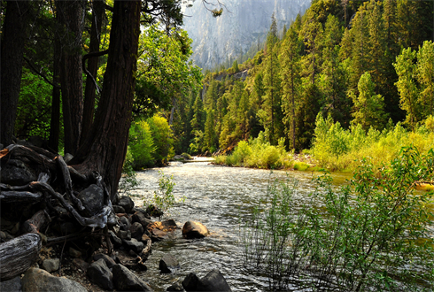 02216_yosemitefalls_1920x1080.jpg