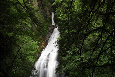 01657_waterfallinthewoods_1920x1080.jpg