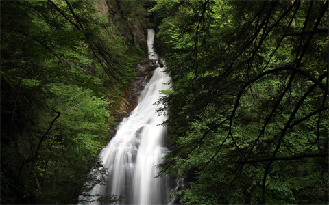 资源之家（风景壁纸） (2).jpg