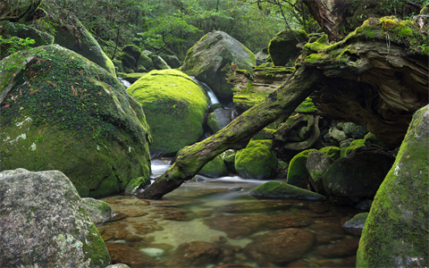 资源之家（风景壁纸） (808).jpg