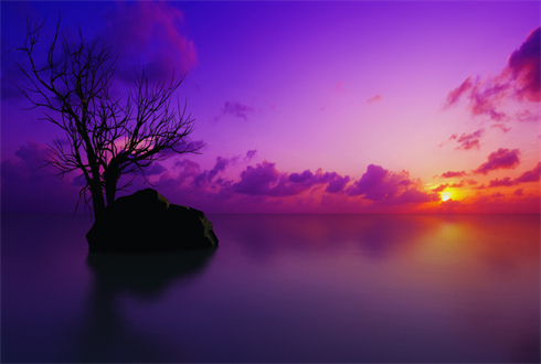 02269_maldiviansunset_1920x1080.jpg